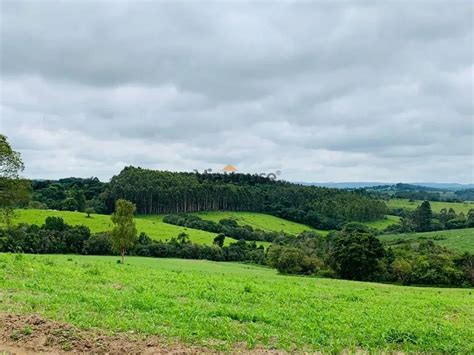 Fazenda S Tio M Em Area Rural Em S O Sebasti O Do Para So Por R