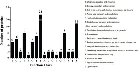 Cog Function Classification Of Nucleus Proteins Binding To The Core