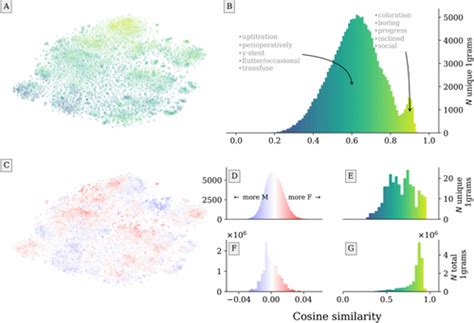 Interpretable Bias Mitigation For Textual Data Reducing Genderization