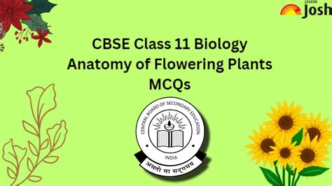 Anatomy Of Flowering Plants Class 11 Mcqs Cbse Biology Chapter 6