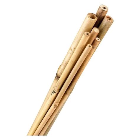 Moso Bamboo Pole Whole Sale Bamboo Pole With High Quality From Vetnam