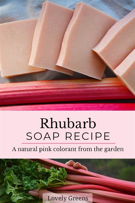 Garden Rhubarb Soap Recipe Natural Pink Soap Colorant Lovely Greens