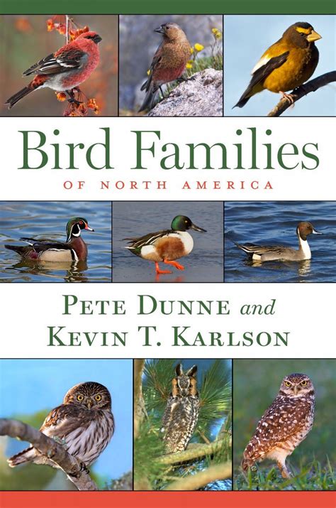 Bird Families Of North America NHBS Field Guides Natural History