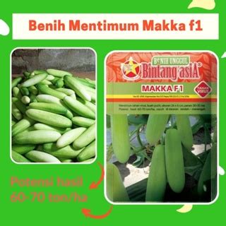 Jual Benih Mentimun Timun MAKKA F1 10 Gram Cap Bintang Asia PT Benih