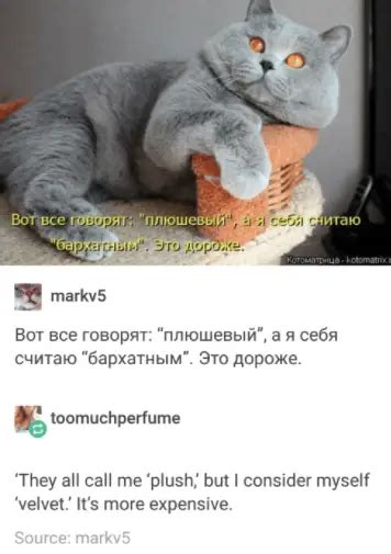 Funny Russian Jokes And Puns Laugh Away Right Now