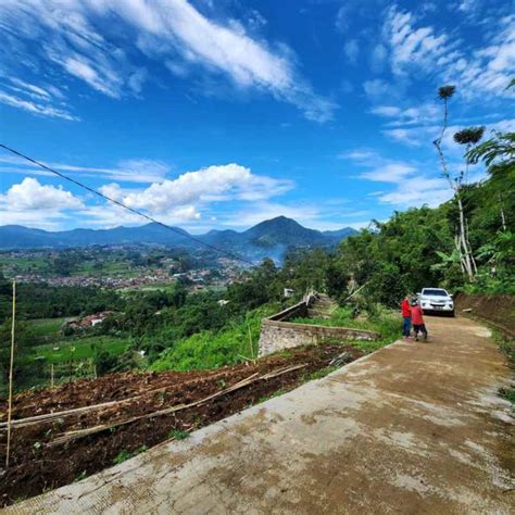 Jual Tanah Murah Di Ciwidey Cocok Untuk Kebun Dan Peternakan