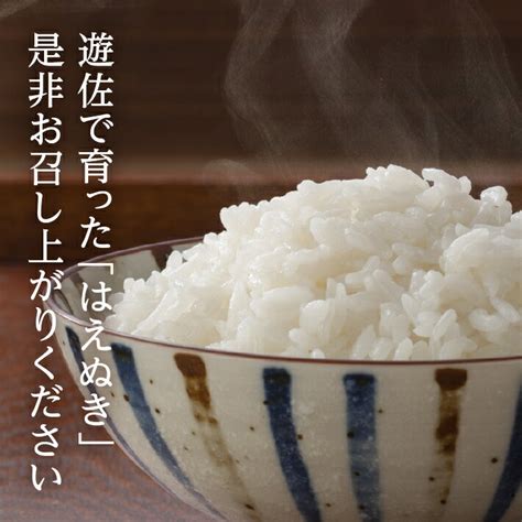 【楽天市場】【ふるさと納税】はえぬき 計10kg 5kg×2袋 令和6年産米 山形県遊佐産 ご希望の時期頃お届け 東北 遊佐町 庄内地方 庄内