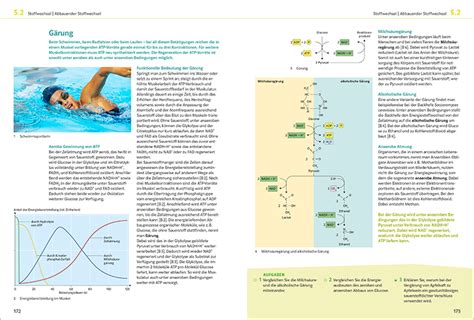 Ernst Klett Verlag Natura Biologie Ausgabe Nordrhein Westfalen