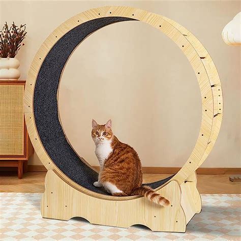 Tapis Roulant Pour Chat Roue Pour Chat Roue D Exercice Pour Chat