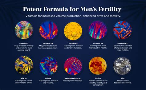 Amazon Prenatal Multivitamin Male Fertility Supplement Mens