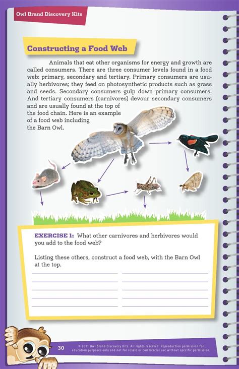 Owl Pellet Dissection Worksheet - Studying Worksheets