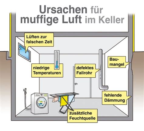 Raumklima im Keller So lüften Sie Ihren Keller richtig