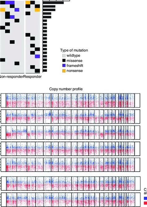 Mutational And Whole Genome Wide Copy Number Variation Landscape In