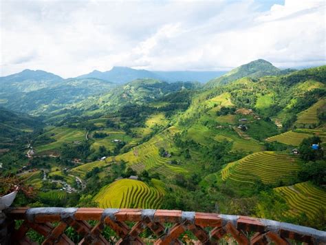 Đẹp ngất ngây với ruộng bậc thang Hoàng Su Phì vào mùa lúa chín 