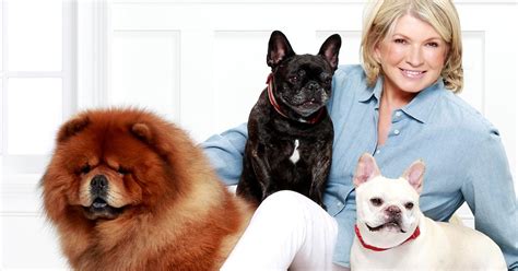 Martha Stewart Chewy Pet Food Launch Purewow