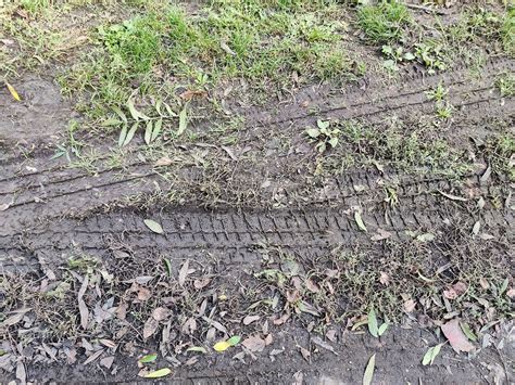 Tire Tracks Mud Free Photo On Pixabay Pixabay