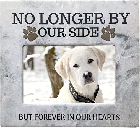 Amazon BANBERRY DESIGNS Pet Memorial Gift Picture Frame No