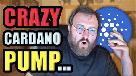 WHY CARDANO IS PUMPING LIKE CRAZY Cryptocurrency News YouTube