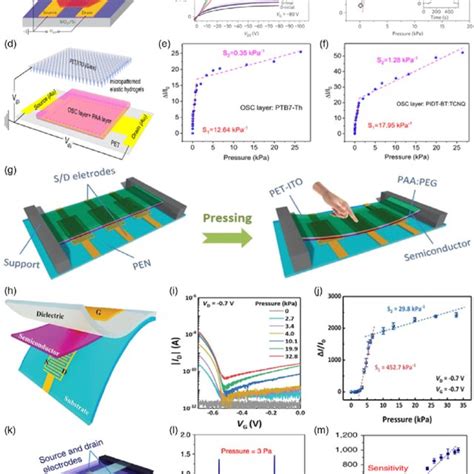 Flexible FET Sensors For Chemical And Biochemical Analyte Detection