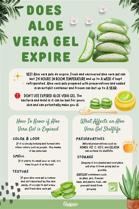 Does Aloe Vera Gel Expire The Truth About Its Shelf Life