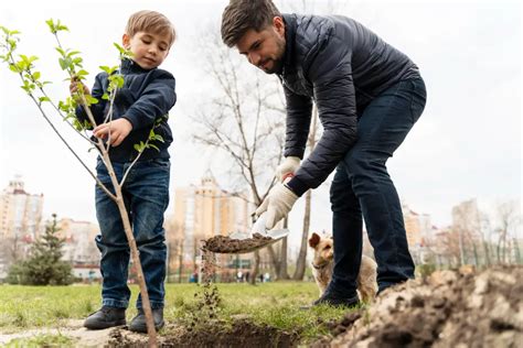 De Ce E Mai Bine Sa Plantezi Pomi Toamna Iata Secretul