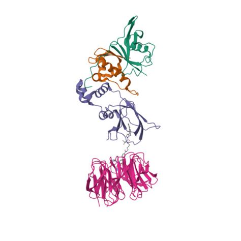 Gene P40337 Protein VHL Overview CanSAR Black