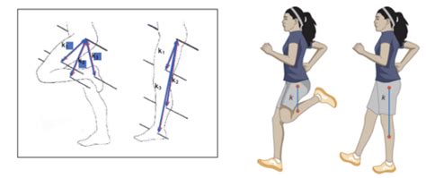 Ch 6 Angular Kinetics Flashcards Quizlet