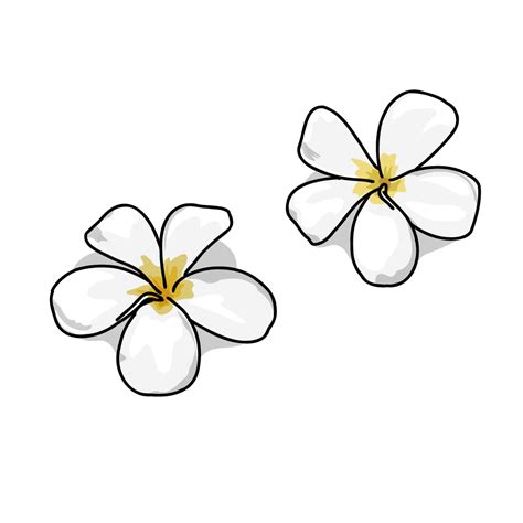 無料・商用利用okのベクター素材【プルメリアのイラスト】 ベクターシェルフ Flower Drawing Flower