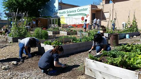 What is a community garden? - Operations