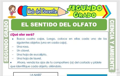 El Sentido Del Olfato Para Segundo Grado De Primaria Web Del Docente