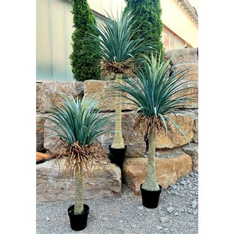 Acheter Des Yucca Rostrata Artificiel Hardin Pot D Coratif Cm