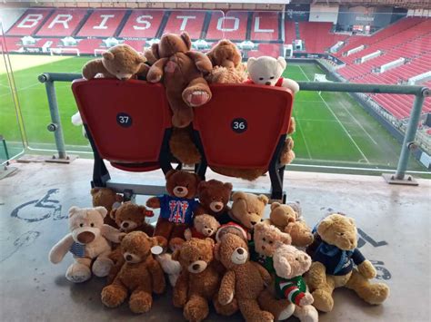 Bristol Bear Teddy Bears Arrive In Ukraine The Teddy Trust