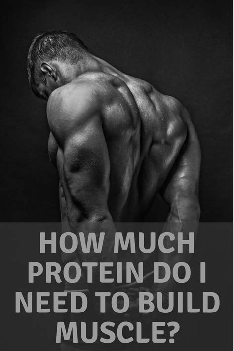 How Much Protein Do I Need To Build Muscle