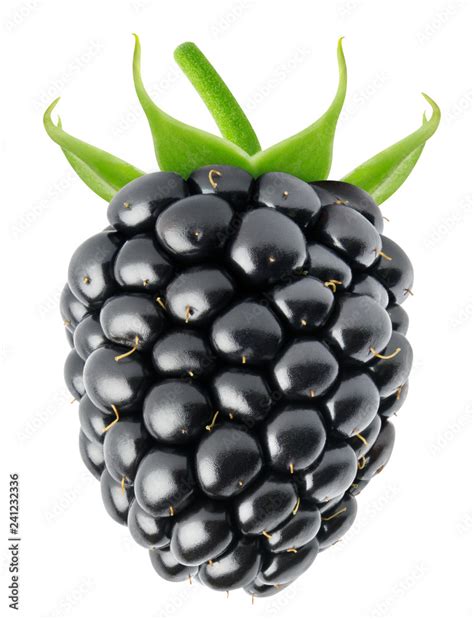 Blackberry Fruit Images