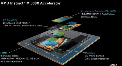 AMD特供版遇阻美国商务部的另一层焦虑