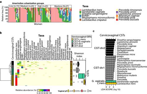 Cervicovaginal Microbiota Composition And Community State Type Cst