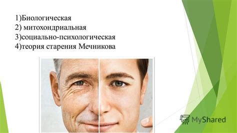 Презентация на тему: "ТЕОРИЯ СТАРЕНИЯ. ВЕДЕНИЕ Старость естественный и ...