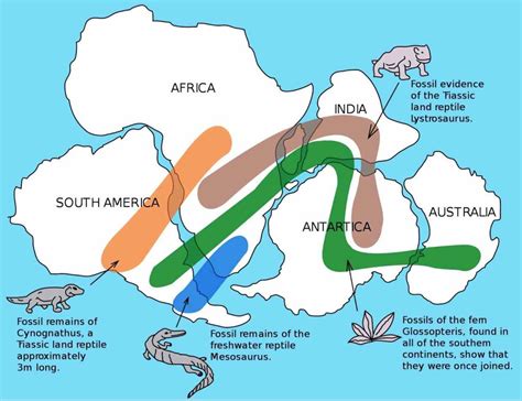 Facts About Pangaea the Most Recent Supercontinent