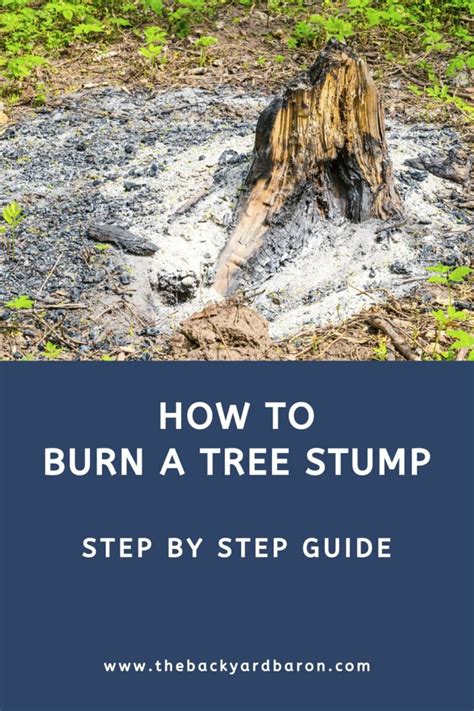 How To Burn A Tree Stump Step By Step Guide