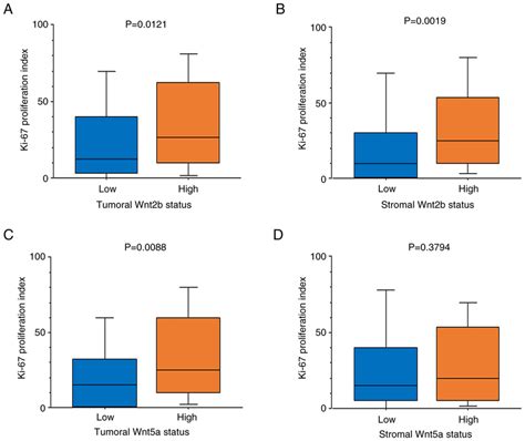 Ki Proliferation Index In Relation To Wnt Status A Tumoral And