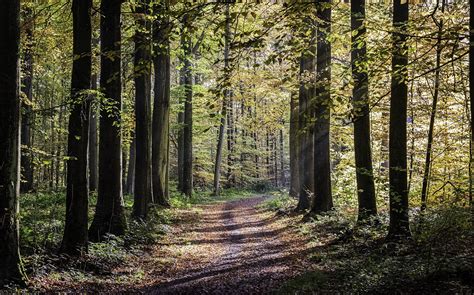 Tips Voor Landschapsfotografie In De Herfst The Landscape Photo Guy