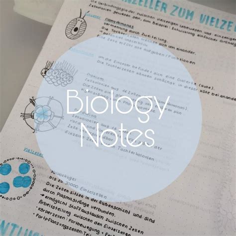 Biology Notes Studying Amino Amino