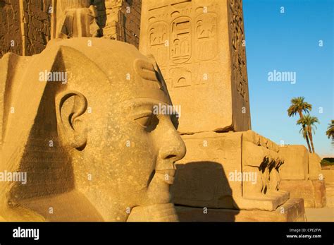 Teil Statue Der Ramses Ii Stockfotos Und Bilder Kaufen Alamy