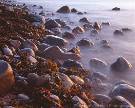 Eva Mcdermott Photography Nova Scotia Canada Cobble Beach