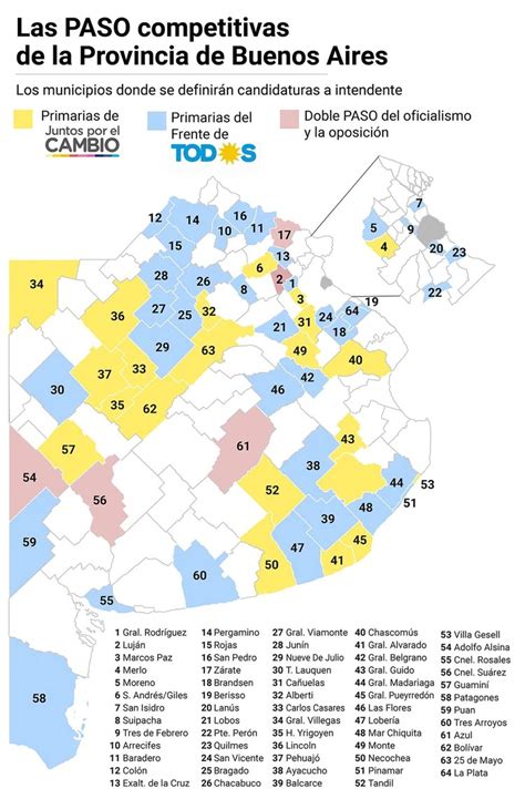 Paso Bonaerense Habrá Internas Para Definir Candidatos A Intendente En 65 Municipios