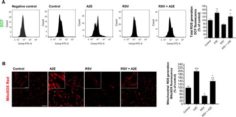 Effect Of Rsv On Ros Clearing In A E Loaded Arpe Cells A The