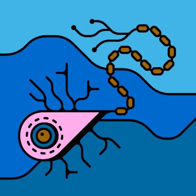 Bella DD On Twitter Beautiful Redhead Gets A Standing Creampie Nsfw Sex Porn Amateur