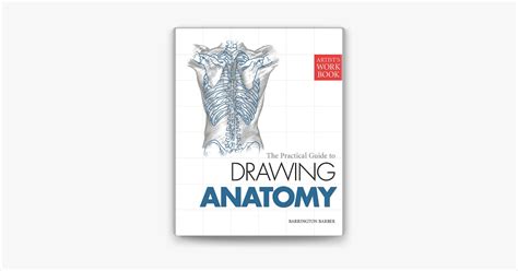 ‎The Practical Guide to Drawing Anatomy on Apple Books