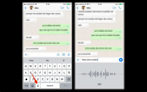 ¿cómo Activar Los Mensajes De Voz Por Whatsapp Haras Dadinco