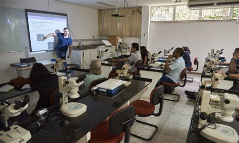 Disciplinas Confirmadas Para O Segundo Semestre De 2017 Programa De Pós Graduação Em Entomologia